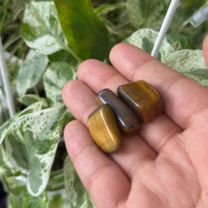 Small Tiger Eye Polished Stone