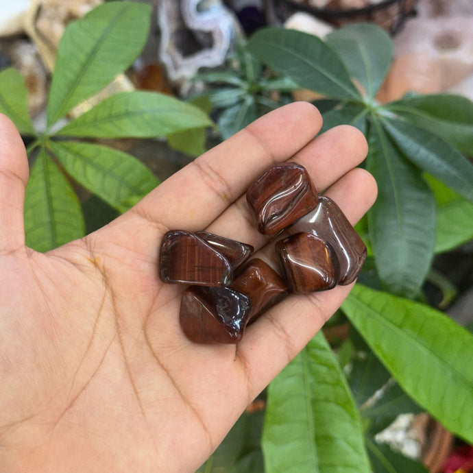 Small Red Tiger Eye Polished Stone