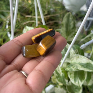 Small Tiger Eye Polished Stone