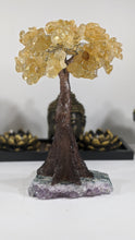 Load image into Gallery viewer, Citrine Cluster Gemstone Tree on Amethyst Matrix (The Money Tree)