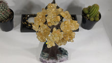 Load image into Gallery viewer, Citrine Cluster Gemstone Tree on Amethyst Matrix (The Money Tree)