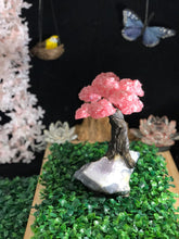 Load image into Gallery viewer, Rose Quartz Clustered Gemstone Tree on Amethyst Matrix The Love Tree Genuine, Bonsai Tree Rose Quartz