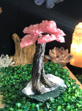 Load image into Gallery viewer, Rose Quartz Clustered Gemstone Tree on Amethyst Matrix The Love Tree Genuine, Bonsai Tree Rose Quartz