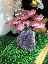 Load image into Gallery viewer, Rose Quartz clustered Gemstone tree on amethyst base, the love tree genuine