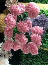 Load image into Gallery viewer, Rose Quartz clustered Gemstone tree on amethyst base, the love tree genuine