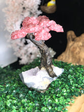 Load image into Gallery viewer, Rose Quartz Clustered Gemstone Tree on Amethyst Matrix The Love Tree Genuine, Bonsai Tree Rose Quartz