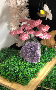 Rose Quartz clustered Gemstone tree on amethyst base, the love tree genuine