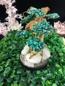 Chrysocolla Tree Set On White Quartz, Pyrite and Wood Base