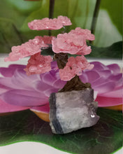 Load image into Gallery viewer, Rose Quartz  Gemstone Tree on Amethyst base, The Genuine Love Tree