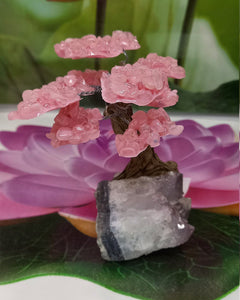 Rose Quartz  Gemstone Tree on Amethyst base, The Genuine Love Tree