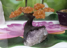 Load image into Gallery viewer, Citrine gemstone tree set on Raw Amethyst.