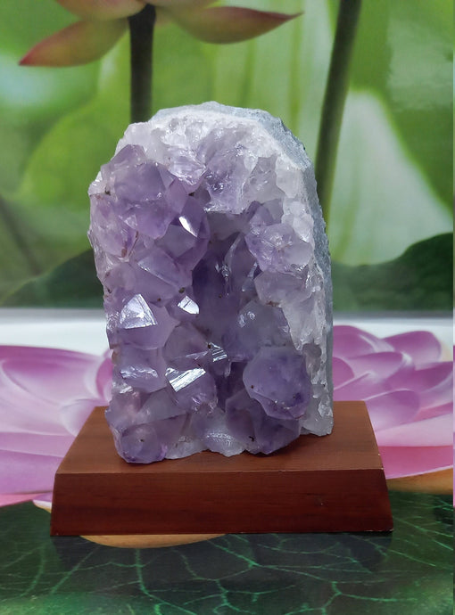 Amethyst Geode on Wood Base, Raw Amethyst Cluster, Collectible Amethyst