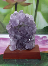 Load image into Gallery viewer, Amethyst Geode on Wood Base, Raw Amethyst Cluster, Collectible Amethyst