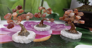 Carnelian Gemstone Tree set on Onyx Base & Pyrite, Crystal Tree