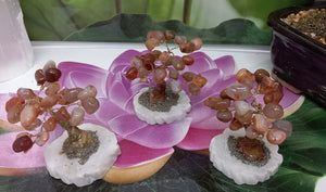 Carnelian Gemstone Tree set on Onyx Base & Pyrite, Crystal Tree