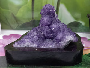 Amethyst Geode set on Wood Base, Raw Amethyst Cluster