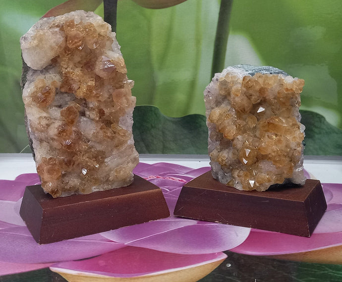 Citrine Cluster on Wood Base, Raw Citrine