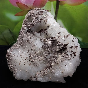 White Quartz Cluster, Home Decor, Healing, Feng Shui, Reiki, Chakra