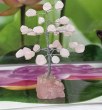 Load image into Gallery viewer, Rose Quartz Tree, Raw Gemstone, Tree Of Love, Chakra Tree Healing Crystal