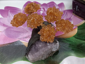 Citrine gemstone tree set on Raw Amethyst.