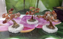 Load image into Gallery viewer, Carnelian Gemstone Tree set on Onyx Base &amp; Pyrite, Crystal Tree