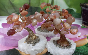 Carnelian Gemstone Tree set on Onyx Base & Pyrite, Crystal Tree