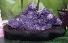 Load image into Gallery viewer, Amethyst Geode set on Wood Base, Raw Amethyst Cluster