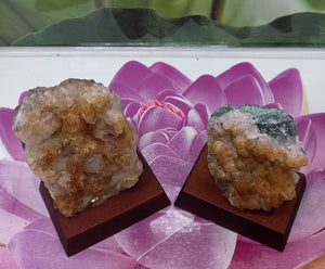 Citrine Cluster on Wood Base, Raw Citrine